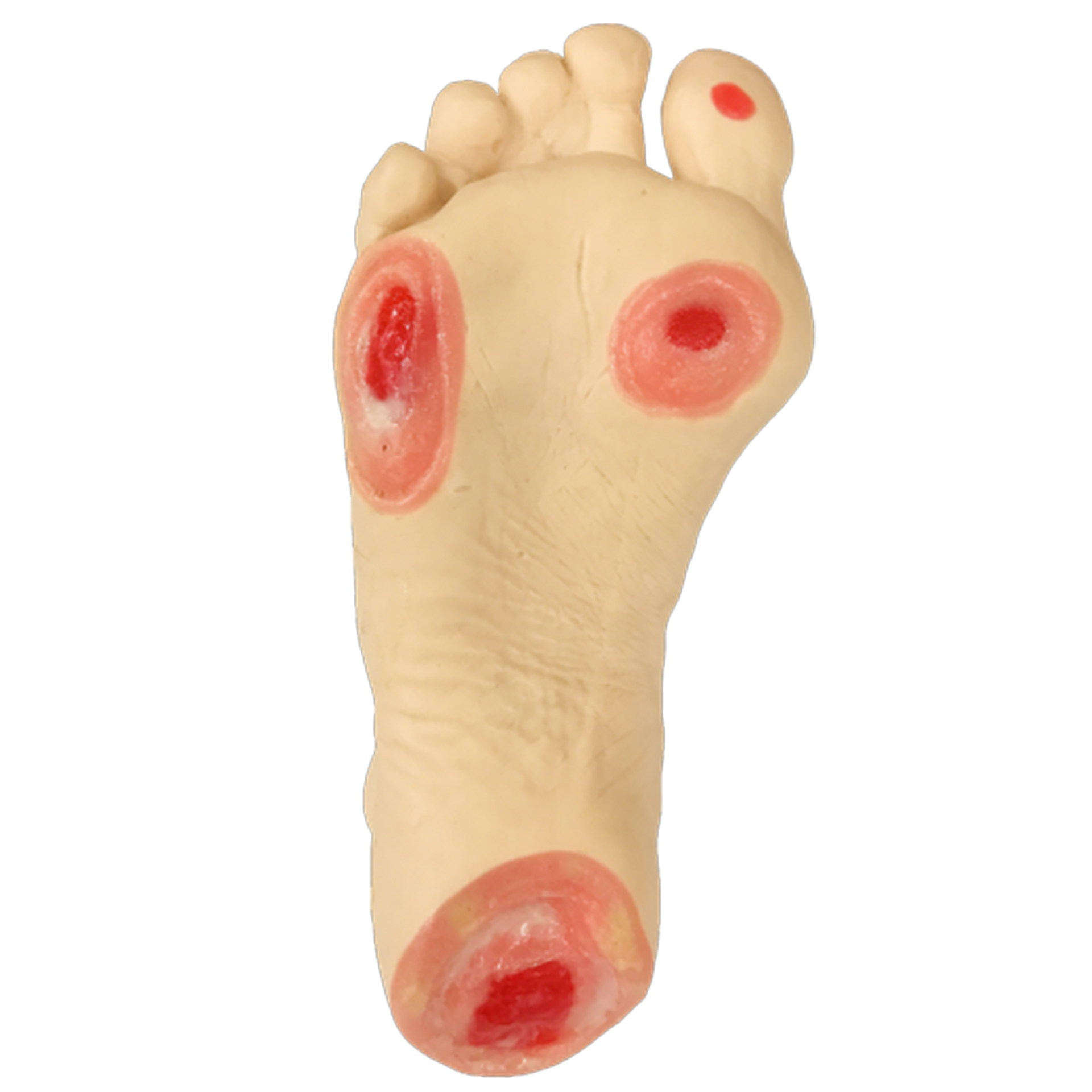 Model Kaki Ulkus Image